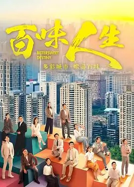 长风渡口都市情感剧海报